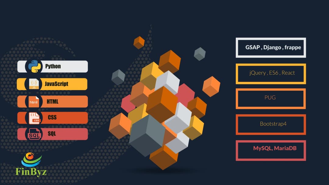 Application Development: Python & JavaScript Development Best Practices